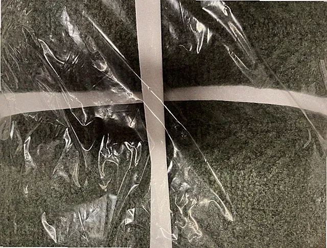 Pottery Barn Arden Tree Winter Christmas loden Holiday blanket full queen loden